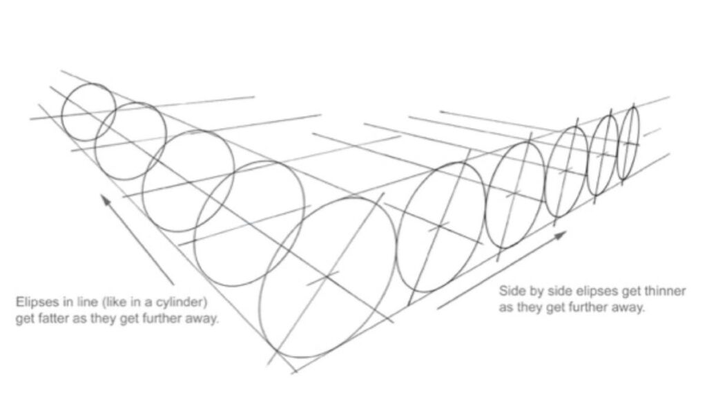 Illustration of ellipses in perspective, aligned in a cylinder shape, demonstrating how they change size and thickness with distance.