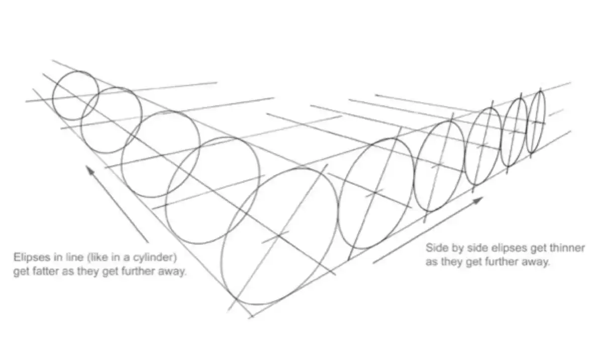Illustration of ellipses in perspective, aligned in a cylinder shape, demonstrating how they change size and thickness with distance.