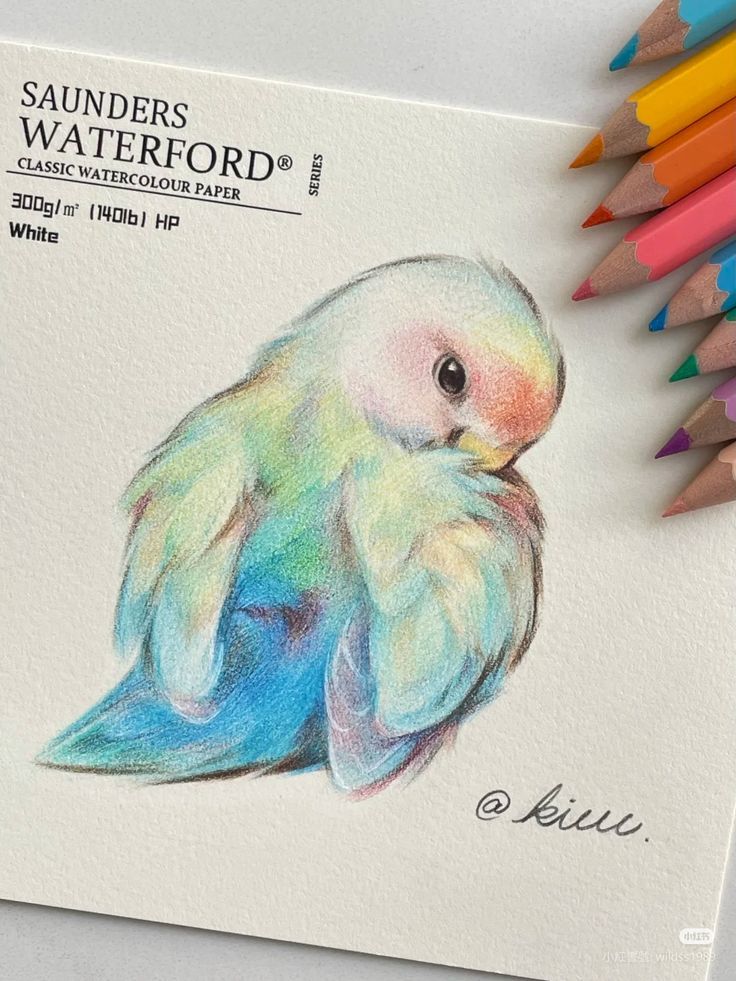 _ 96 Colorful parrot drawing on Saunders Waterford watercolor paper, surrounded by vibrant pencils. | Sky Rye Design Colorful parrot drawing on Saunders Waterford watercolor paper, surrounded by vibrant pencils.