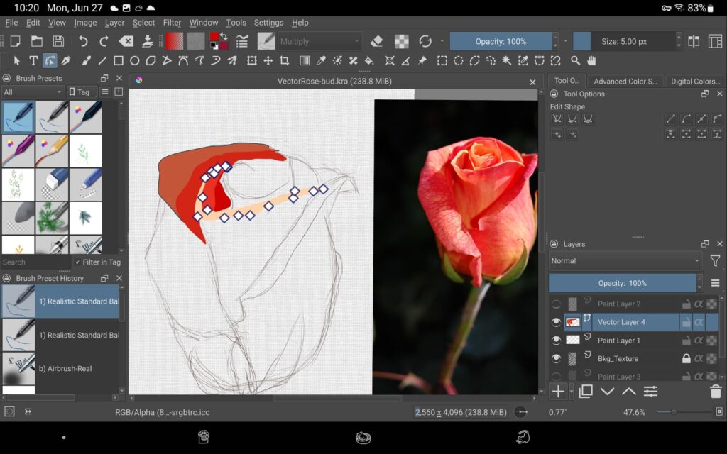 9a6558eeb30ea808393e56e232af87a9f2418abf Digital art interface showing a rose sketch in progress beside a reference photo of an orange rosebud. | Sky Rye Design Digital art interface showing a rose sketch in progress beside a reference photo of an orange rosebud.