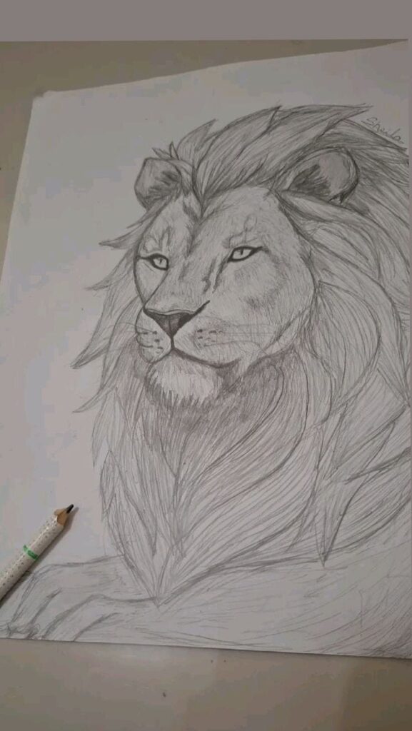 9afee89fe6027dfe0aa7290e4500441d Hand-drawn sketch of a majestic lion in pencil, showcasing intricate details of its mane on a white paper with a pencil nearby. | Sky Rye Design lion face drawing tutorial