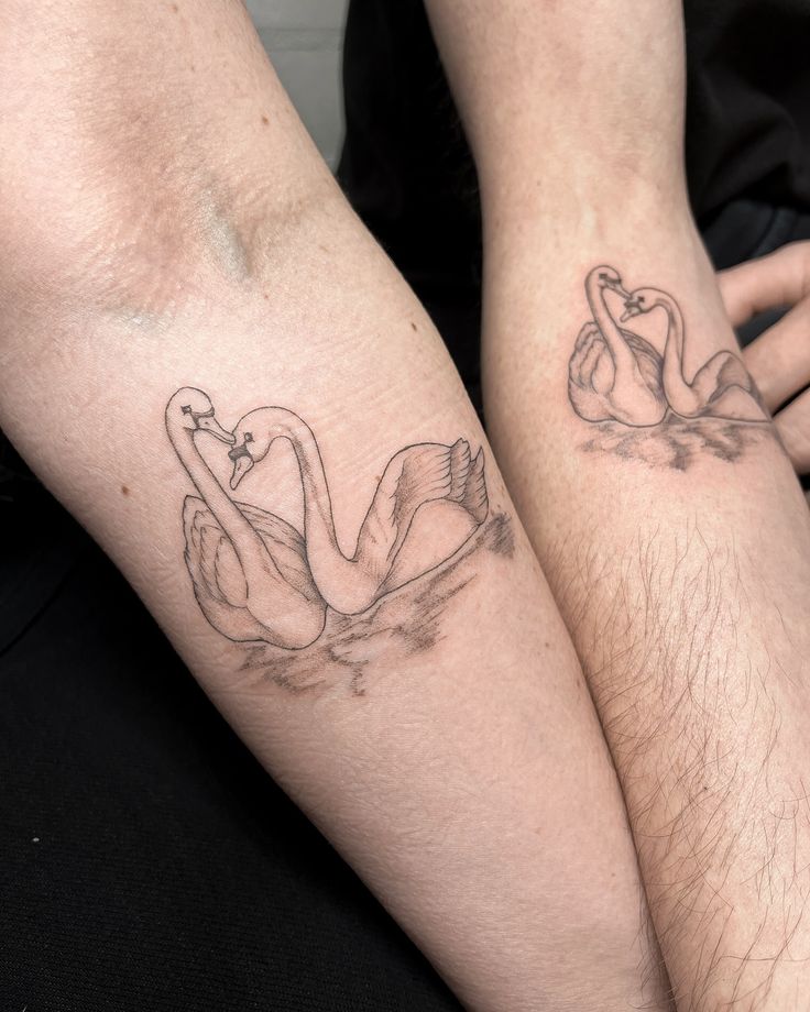 A couple of swans for an absolutely wonderful couple of people 🦢✨_finelinetattoo illustrativetattoo swantattoo matchingtattoo geelongtattooartists geelongtattoo whimsyandwilds Matching swan tattoos on arms symbolizing love and unity, with detailed shading and elegant design. | Sky Rye Design Matching swan tattoos on arms symbolizing love and unity, with detailed shading and elegant design.