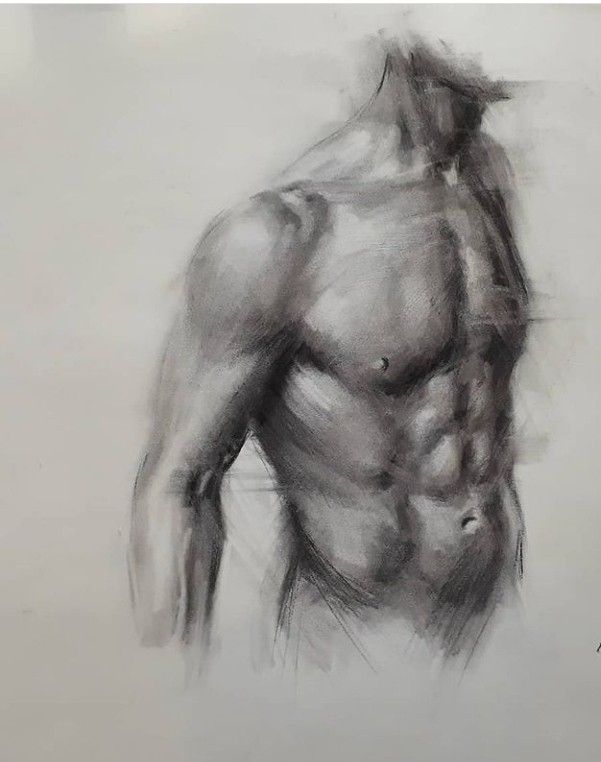 Charcoal portrait 🎨✍🎭💕 Charcoal sketch of a muscular male torso showcasing defined abs and muscles on a white background. | Sky Rye Design Charcoal sketch of a muscular male torso showcasing defined abs and muscles on a white background.