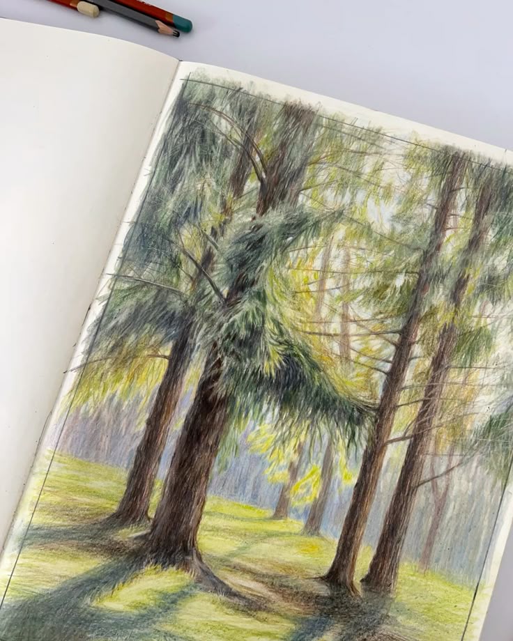 Colour pencils landscape Colored pencil forest sketch depicting sunlit trees in an open notebook, with vibrant shades of green and brown, surrounded by pencils. | Sky Rye Design Colored pencil forest sketch depicting sunlit trees in an open notebook, with vibrant shades of green and brown, surrounded by pencils.
