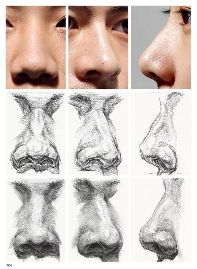 Doodle Art Close-up photos and sketches depicting the anatomy of a human nose, showcasing different angles and artistic styles for drawing. | Sky Rye Design Close-up photos and sketches depicting the anatomy of a human nose, showcasing different angles and artistic styles for drawing.