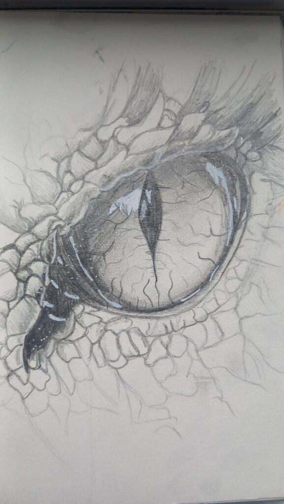Dragon eye Detailed pencil sketch of a reptile eye with textured scales and slit pupil, showcasing artistic skill in drawing and shading. | Sky Rye Design Detailed pencil sketch of a reptile eye with textured scales and slit pupil, showcasing artistic skill in drawing and shading.