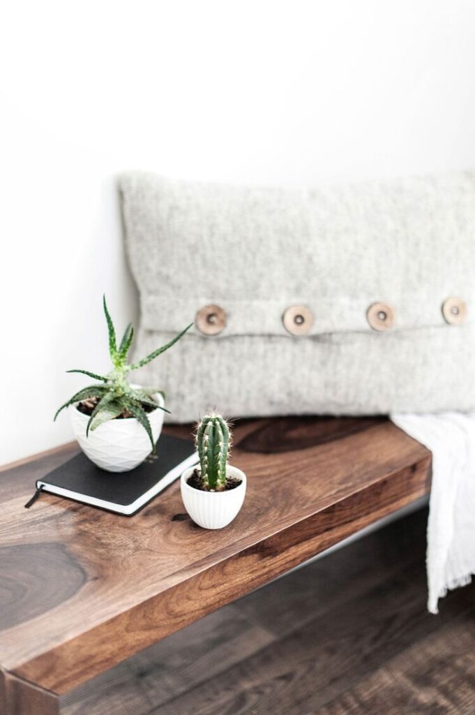 FEARS THAT STOP US FROM ORGANIZING A MESSY ROOM Minimalist decor with small potted succulents and a cactus on a wooden bench, accented by a cozy gray pillow with buttons. | Sky Rye Design Minimalist decor with small potted succulents and a cactus on a wooden bench, accented by a cozy gray pillow with buttons.