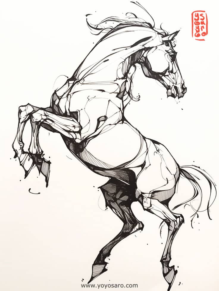 Grace in Motion_ 150 Anatomical Horse Sketches by YoyoSaro Dynamic sketch of a rearing horse in black and white, showcasing bold lines and artistic flair. Red signature in corner. | Sky Rye Design Dynamic sketch of a rearing horse in black and white, showcasing bold lines and artistic flair. Red signature in corner.