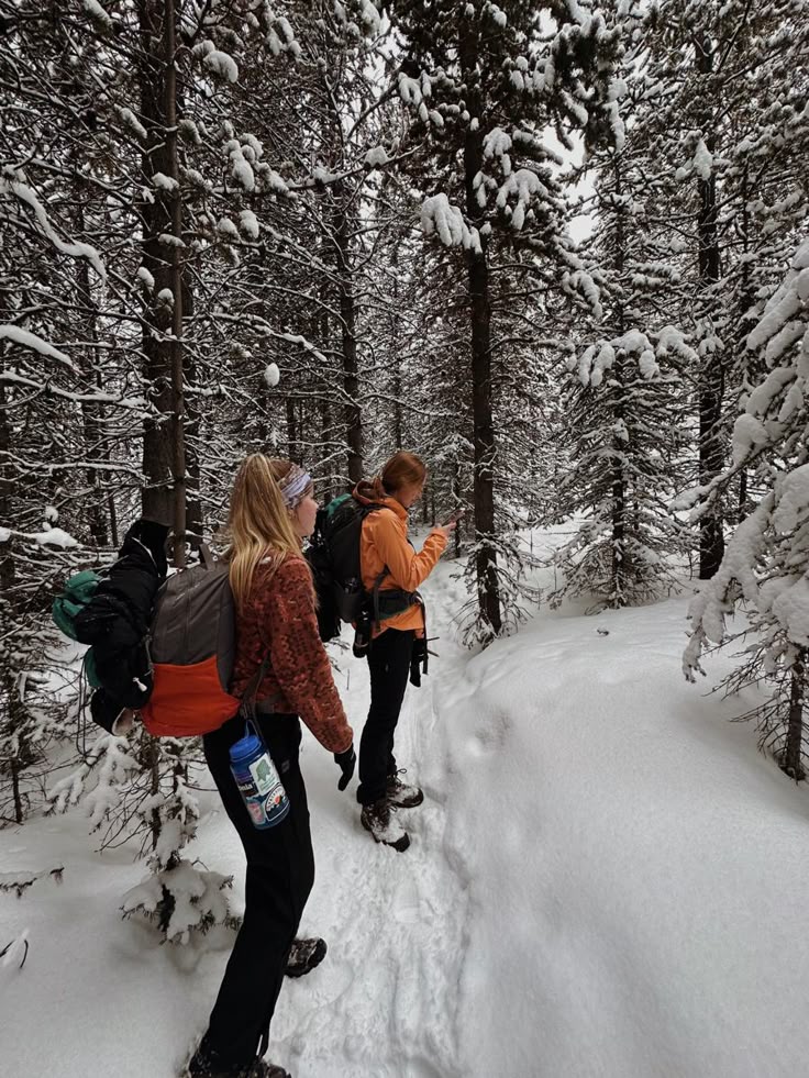 Two hikers with backpacks walk through a snow-covered forest path, surrounded by tall, snowy trees.