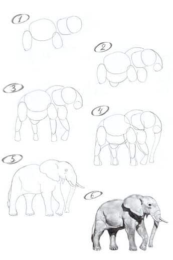 How to draw an elephant_ Step-by-step tutorial Step-by-step guide to drawing an elephant, starting with basic shapes and progressing to a detailed illustration. | Sky Rye Design Step-by-step guide to drawing an elephant, starting with basic shapes and progressing to a detailed illustration.