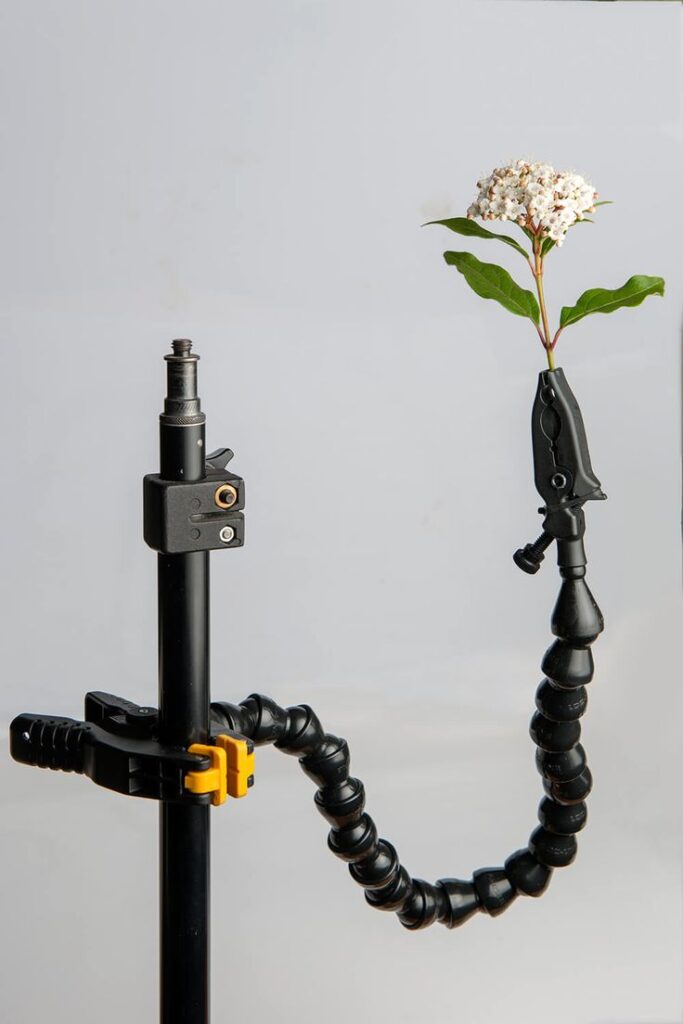 Macro Photography Tips with Jacqui Dean Flexible clamp arm holding a flowering branch, demonstrating precise positioning for photography or scientific applications. | Sky Rye Design Flexible clamp arm holding a flowering branch, demonstrating precise positioning for photography or scientific applications.