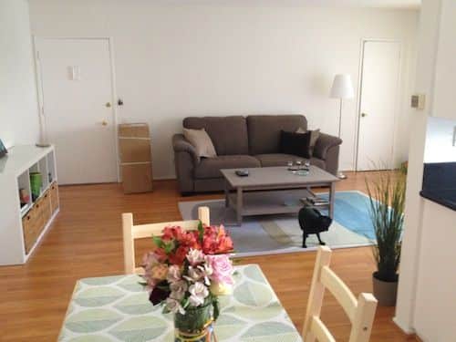 Cozy living room with a brown sofa, coffee table, and decorative plants. Bright, minimalist decor with a vase of flowers on dining table.