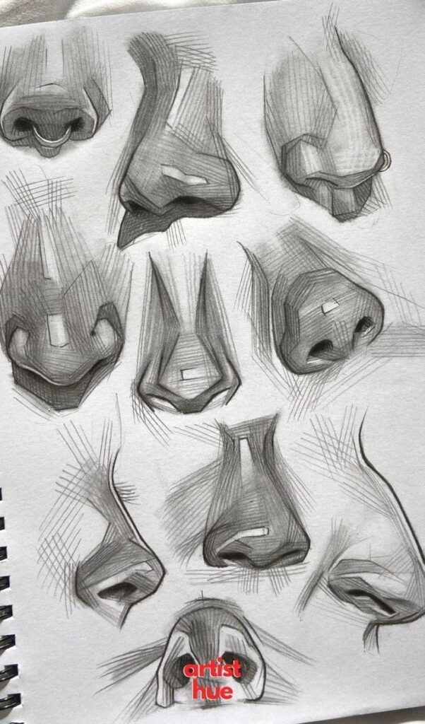 Nose Shapes and Their Impact on Facial Balance Pencil sketches of various human nose shapes on paper, highlighting different angles and shading techniques for realistic drawing. | Sky Rye Design Pencil sketches of various human nose shapes on paper, highlighting different angles and shading techniques for realistic drawing.