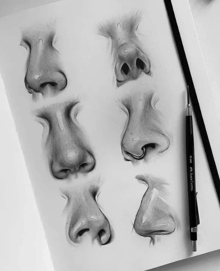 Nose drawing 👃 Sketch of six different human noses with a pencil on paper, showcasing shading techniques and anatomy. | Sky Rye Design Sketch of six different human noses with a pencil on paper, showcasing shading techniques and anatomy.