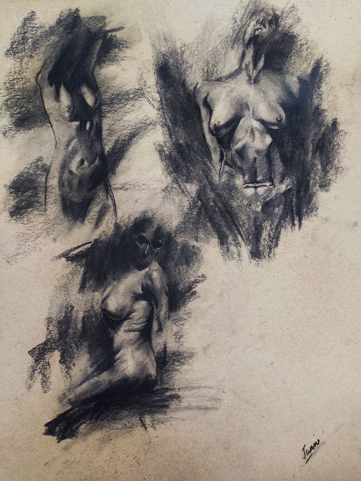 Nude gesture art Charcoal sketches of human torsos, capturing dynamic poses and shading on textured paper, showcasing figure drawing artistry. | Sky Rye Design Charcoal sketches of human torsos, capturing dynamic poses and shading on textured paper, showcasing figure drawing artistry.