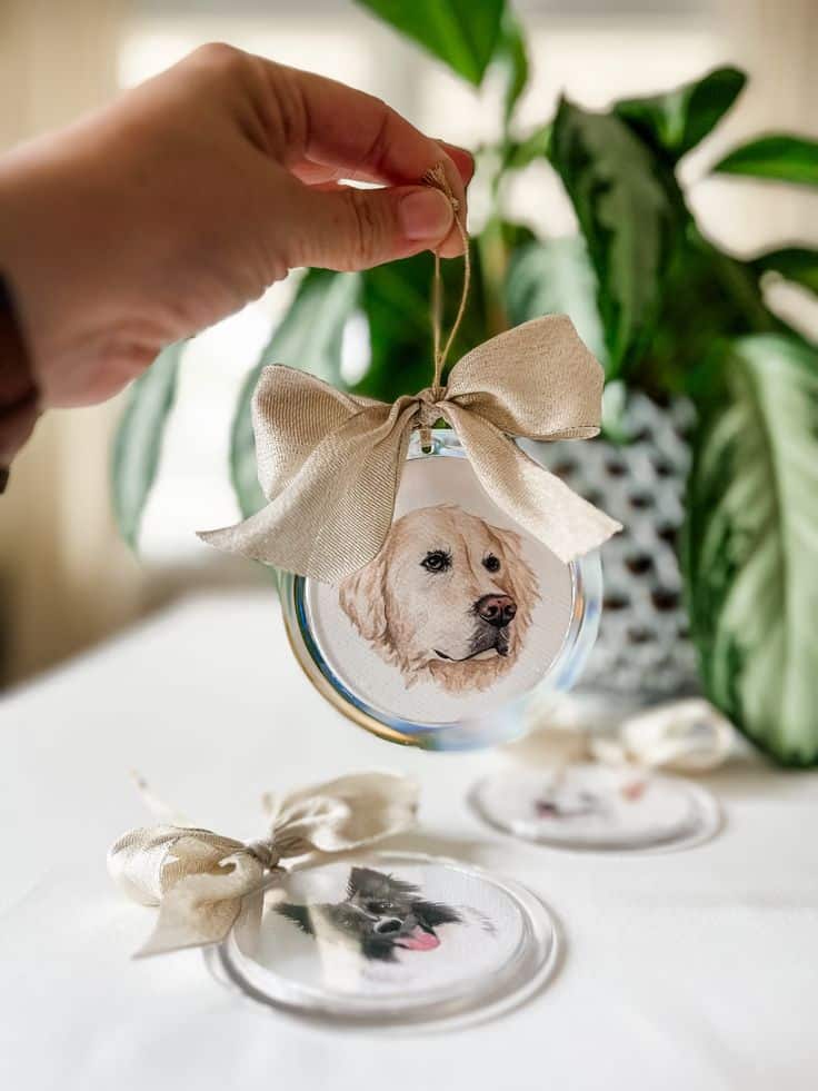 Pet Portrait Ornament Hand holding a dog-themed ornament with a bow, featuring a golden retriever portrait. Decorative pet ornaments on a table. | Sky Rye Design Hand holding a dog-themed ornament with a bow, featuring a golden retriever portrait. Decorative pet ornaments on a table.