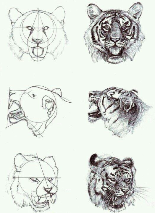 Plus | Sky Rye Design