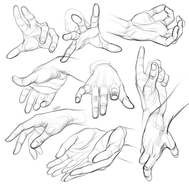 Screenshot Sketches of various hand poses, showing detailed finger positions and gestures, ideal for drawing practice and anatomy reference. | Sky Rye Design Sketches of various hand poses, showing detailed finger positions and gestures, ideal for drawing practice and anatomy reference.