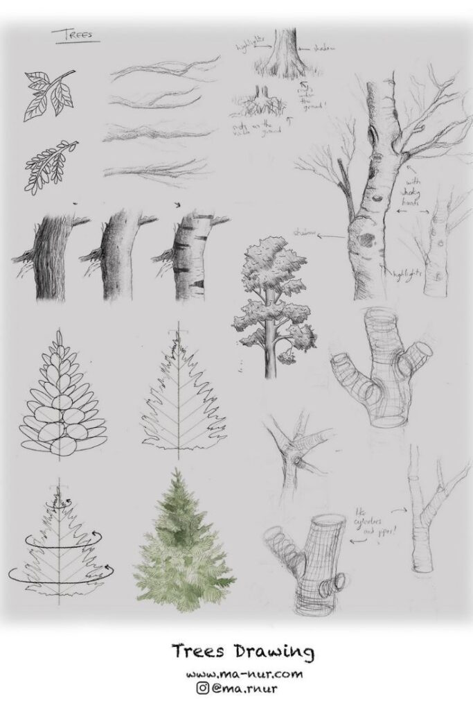 Trees Drawing Tutorials - MANUR Arts Architecture - Free Drawing_Painting CoursesTutorials Hand-drawn tree sketches showcasing leaves, bark textures, branches, and full trees in various styles, with artist contact info. | Sky Rye Design Hand-drawn tree sketches showcasing leaves, bark textures, branches, and full trees in various styles, with artist contact info.