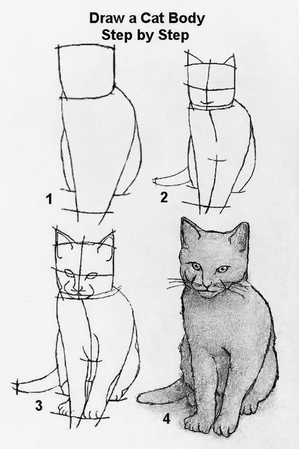 Udd Drawings Step-by-step guide to drawing a cat body, showing the progression from basic shapes to a detailed feline illustration. | Sky Rye Design Step-by-step guide to drawing a cat body, showing the progression from basic shapes to a detailed feline illustration.