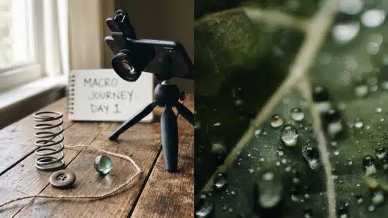 Macro photography setup with phone, tripod, and objects; close-up of dewdrops on a leaf showcasing detail and texture.