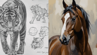 Tiger sketch with geometric guides and a digital painting of a horse side by side, showcasing artistic techniques and animal portraits.