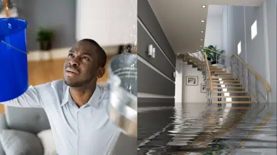 Viewing-Deck-Blog-_1_ Man catching water leaks with bucket; flooded hallway with stairs. Home water damage and emergency repair concept. | Sky Rye Design Man catching water leaks with bucket; flooded hallway with stairs. Home water damage and emergency repair concept.