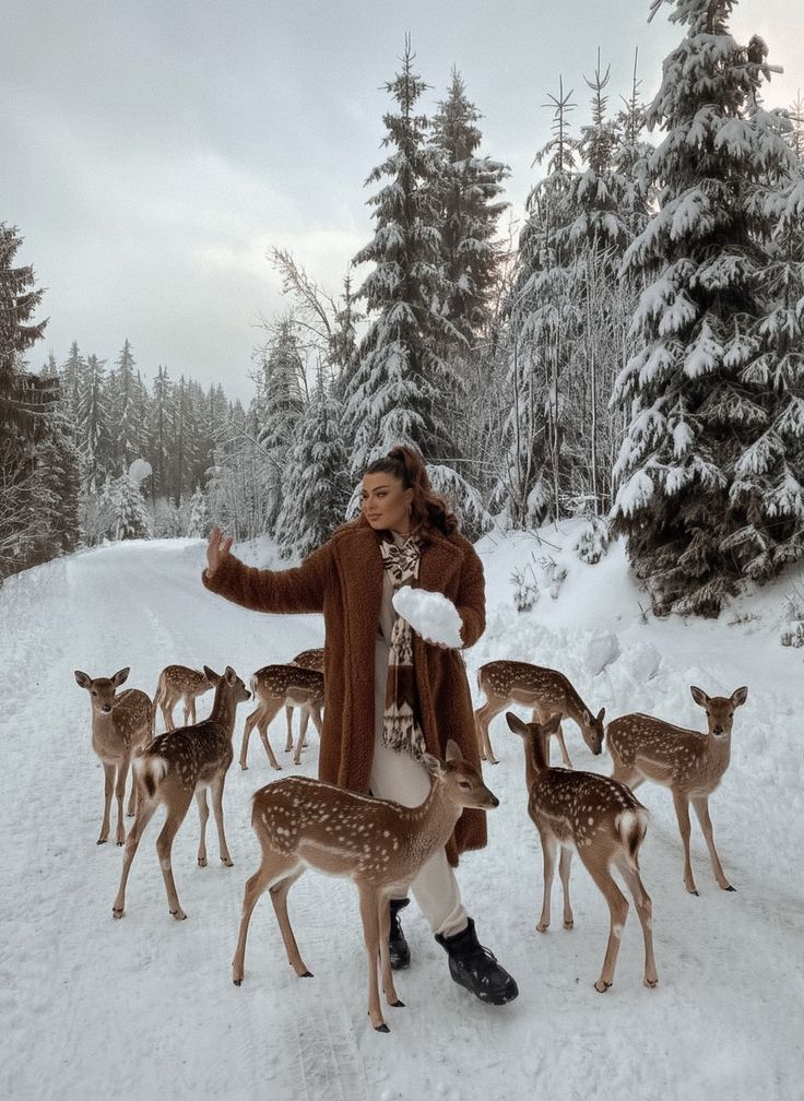 Winter Aesthetic Person in a brown coat surrounded by deer on a snowy forest path, capturing a serene winter moment. | Sky Rye Design Person in a brown coat surrounded by deer on a snowy forest path, capturing a serene winter moment.