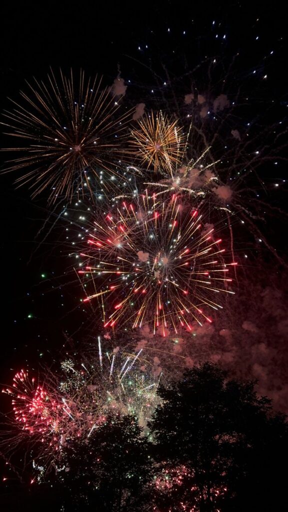 a7a9e7be-bfd7-4497-bbd3-34e2064f52c6 Vibrant fireworks burst in the night sky above silhouetted trees, creating a colorful celebration scene. | Sky Rye Design Vibrant fireworks burst in the night sky above silhouetted trees, creating a colorful celebration scene.