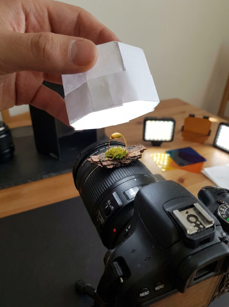 ai-photo-studio-1766362408944-2 DIY photography setup: camera with macro lens, craft paper light diffuser, and tiny scene with moss and gold ring on bark. | Sky Rye Design DIY photography setup: camera with macro lens, craft paper light diffuser, and tiny scene with moss and gold ring on bark.