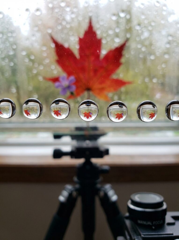 ai-photo-studio-1766413868395-2 Water droplets on glass act as lenses showing an inverted red maple leaf. Tripod and blurred autumn background complete the scene. | Sky Rye Design Water droplets on glass act as lenses showing an inverted red maple leaf. Tripod and blurred autumn background complete the scene. macro photography ideas indoors