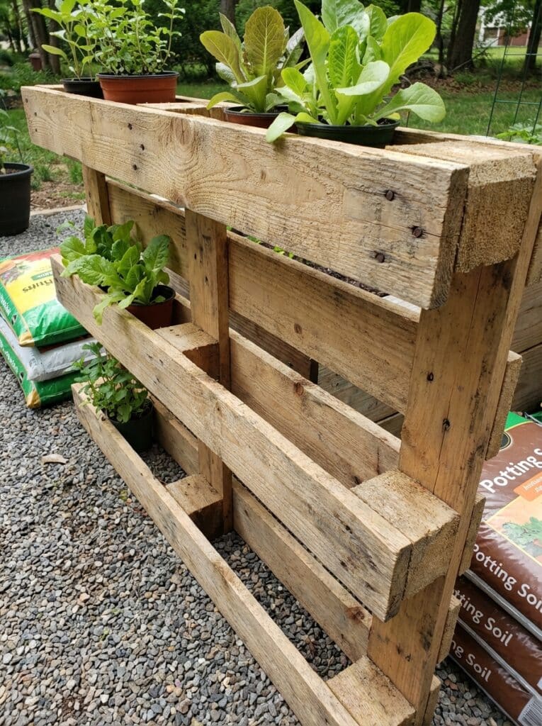 ai-photo-studio-1766675796883-1 Wooden pallet vertical garden with potted plants, ideal for small spaces. Shown with potting soil bags on gravel ground. | Sky Rye Design Wooden pallet vertical garden with potted plants, ideal for small spaces. Shown with potting soil bags on gravel ground.
