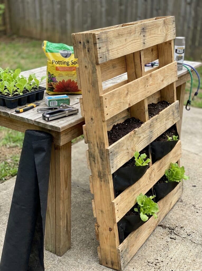 ai-photo-studio-1766676876324-1 DIY vertical garden with wood pallet, seedlings, and gardening tools on a table outdoors. Eco-friendly gardening project setup. | Sky Rye Design DIY vertical garden with wood pallet, seedlings, and gardening tools on a table outdoors. Eco-friendly gardening project setup.