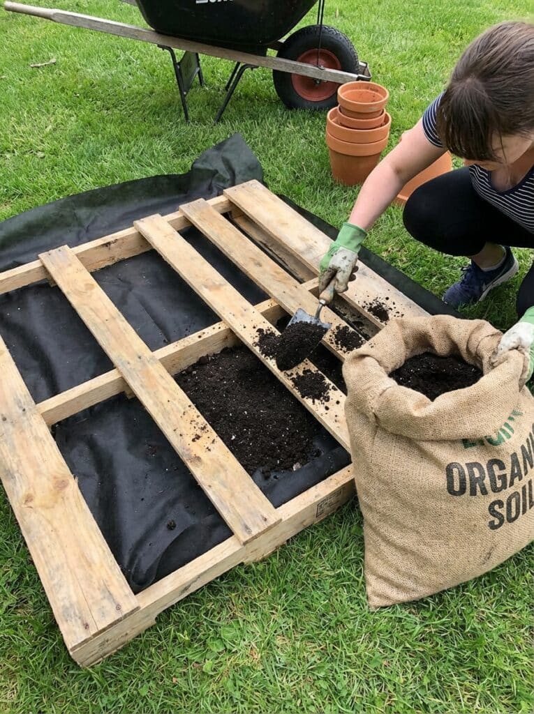 ai-photo-studio-1766677011047-1 Person filling a wooden pallet with organic soil for gardening on grass. Gardening tools and pots nearby. Eco-friendly project. | Sky Rye Design Person filling a wooden pallet with organic soil for gardening on grass. Gardening tools and pots nearby. Eco-friendly project.