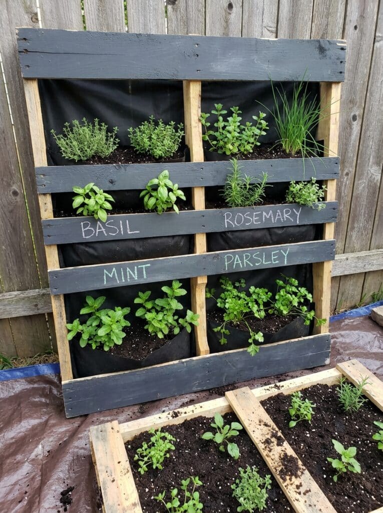 ai-photo-studio-1766677246313-1 Vertical herb garden with labeled sections for basil, rosemary, mint, and parsley in a wooden pallet against a wooden fence. | Sky Rye Design Vertical herb garden with labeled sections for basil, rosemary, mint, and parsley in a wooden pallet against a wooden fence.