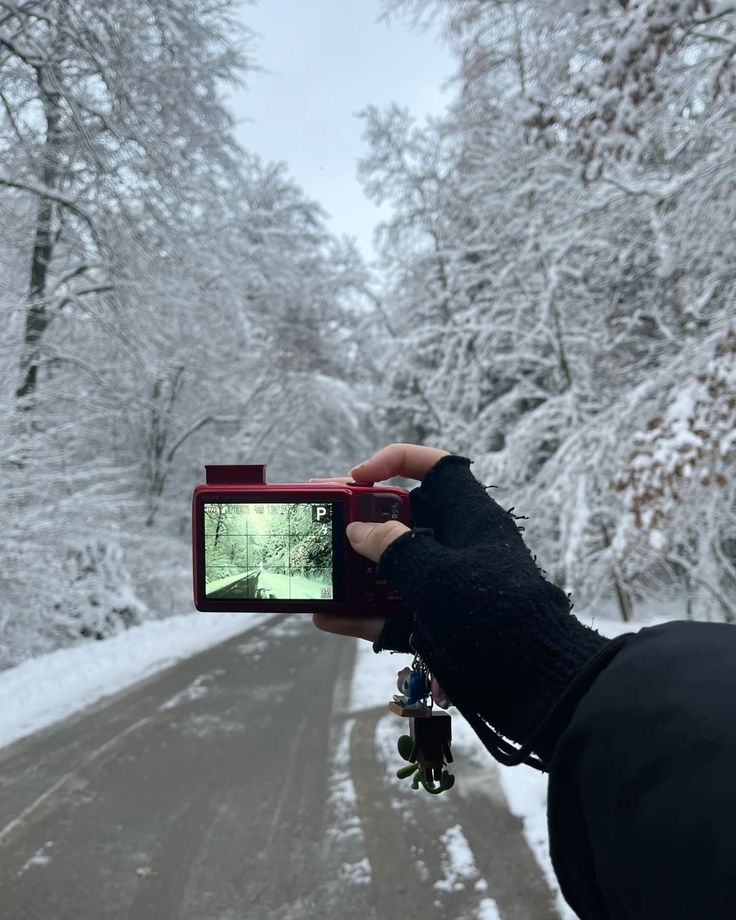 brrr so cold Capturing snowy forest landscape with a red camera. Winter scene with snow-covered trees lining a road, framed through the camera. | Sky Rye Design Capturing snowy forest landscape with a red camera. Winter scene with snow-covered trees lining a road, framed through the camera.