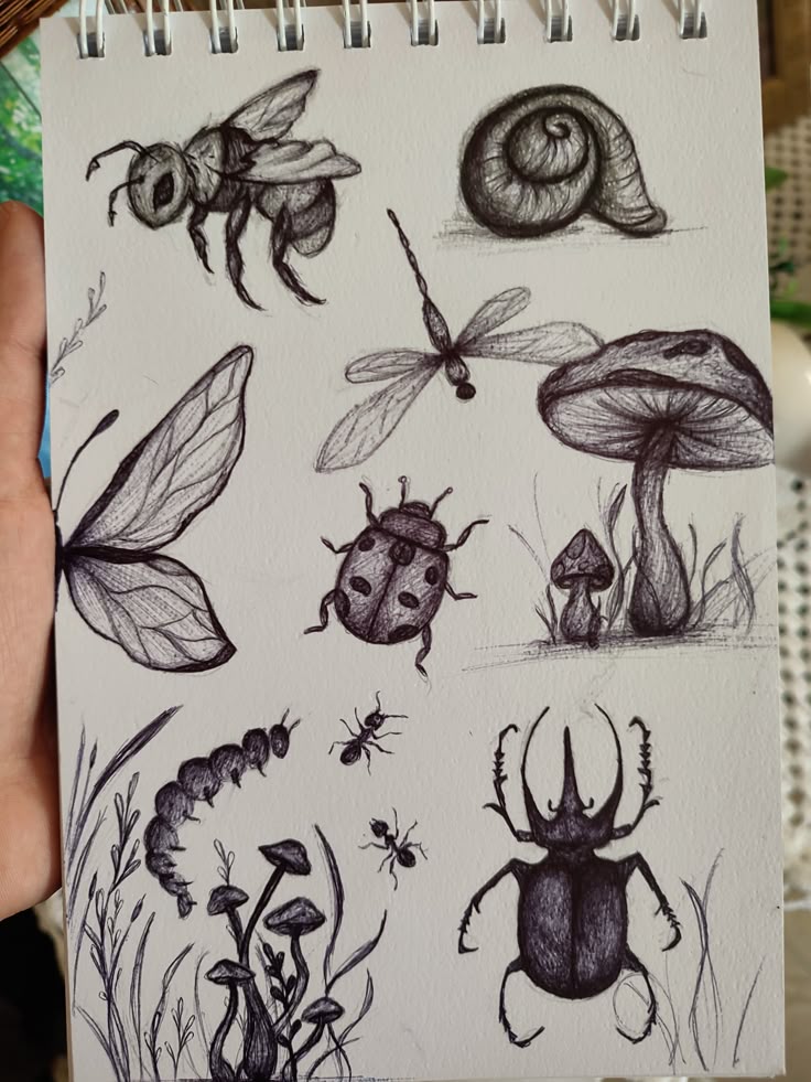 Hand-drawn sketch of insects and mushrooms, featuring a bee, dragonfly, ladybug, beetle, snail, caterpillar, ants, and fungi.