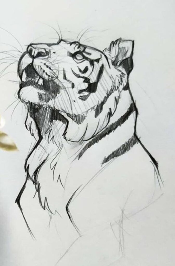 cc4c81c0-0b94-4115-83e5-d109bd472d1e | Sky Rye Design