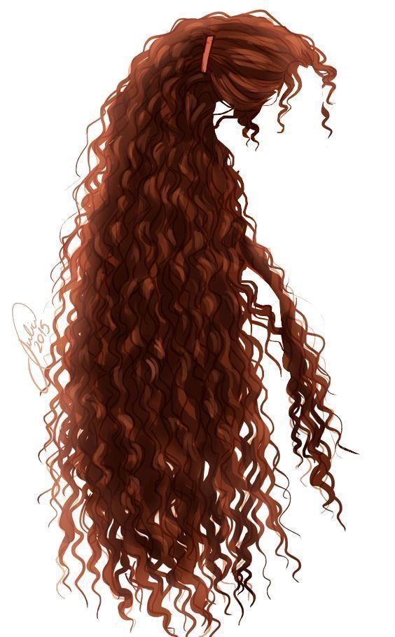 cooperbalayagebrunettes Illustrated long curly brown hair with a red hair tie, cascading in waves. Perfect for hairstyles and beauty inspiration. | Sky Rye Design Illustrated long curly brown hair with a red hair tie, cascading in waves. Perfect for hairstyles and beauty inspiration.