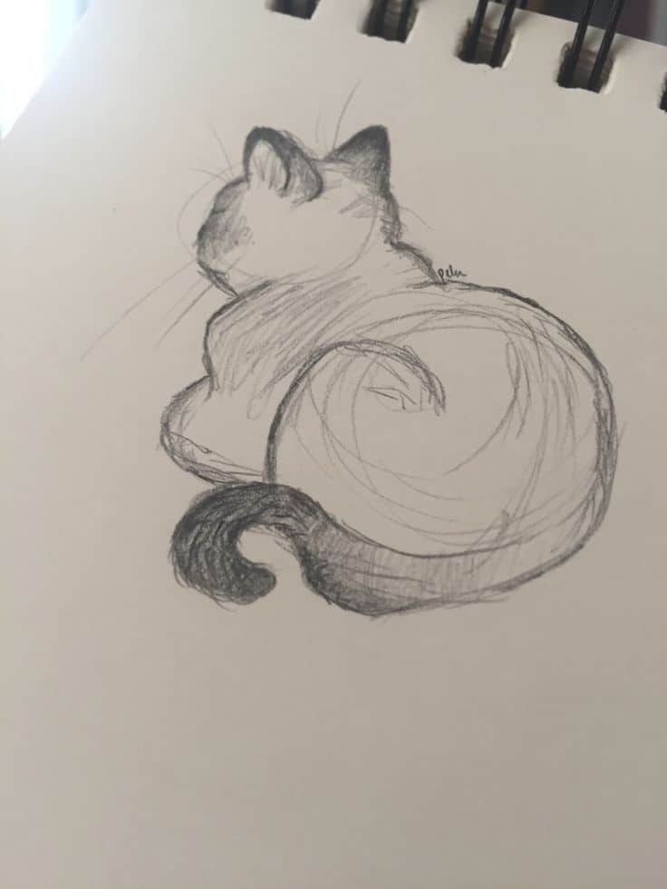 d305417d29c282ea3d8a6f9db4f29435 Sketch of a curled-up cat drawn on paper, showcasing its back and tail, capturing a peaceful and minimalist artistic style. | Sky Rye Design Sketch of a curled-up cat drawn on paper, showcasing its back and tail, capturing a peaceful and minimalist artistic style.