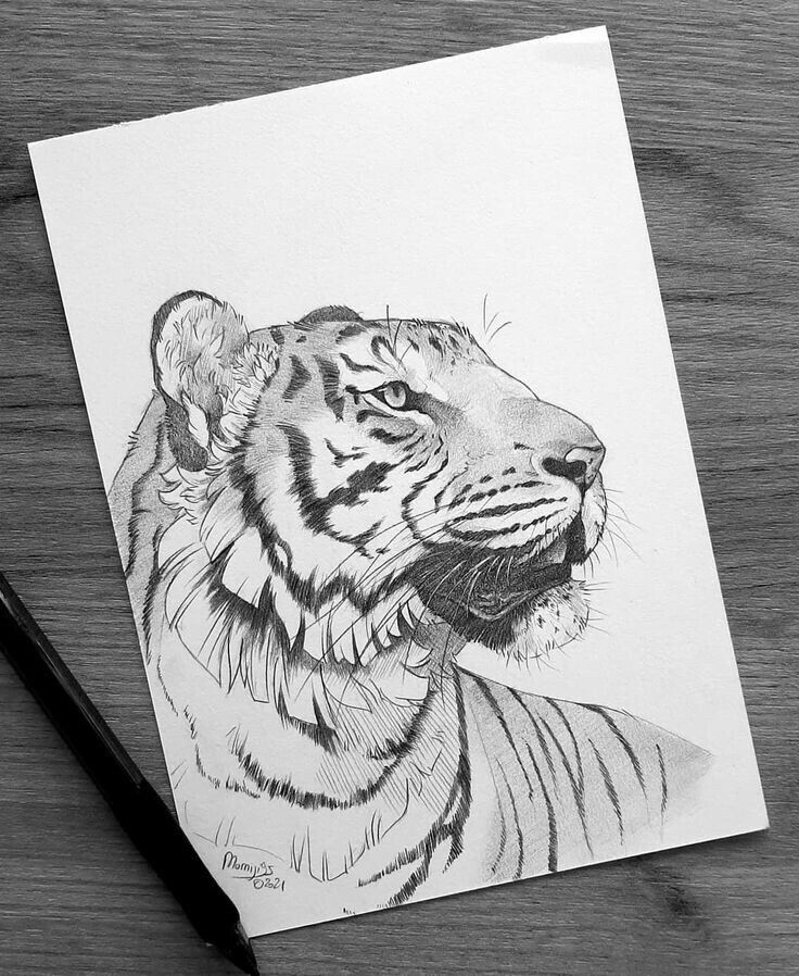 e67f6183-07a2-4207-8a68-6969487c4e28 | Sky Rye Design