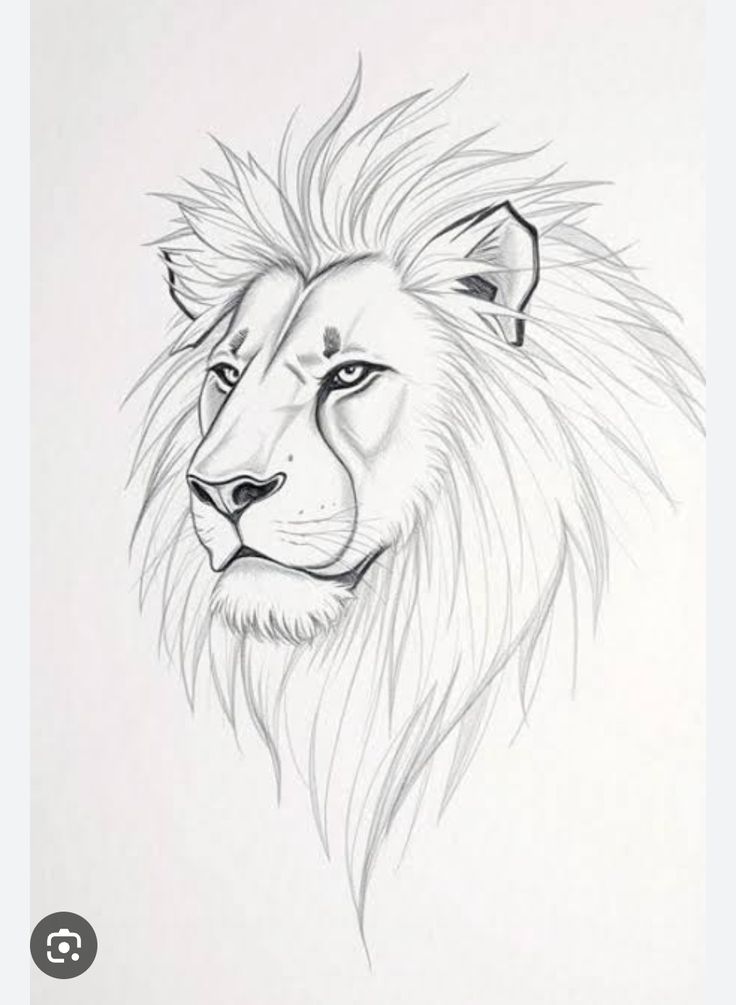 f18753db3fb60d0e686a54c480f01190 Sketch of a lion's head, showcasing its majestic mane and intense gaze, drawn in detailed black and white pencil. | Sky Rye Design Sketch of a lion's head, showcasing its majestic mane and intense gaze, drawn in detailed black and white pencil.