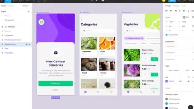UI design for a grocery delivery app featuring screens for non-contact delivery, product categories, and vegetable selection options.