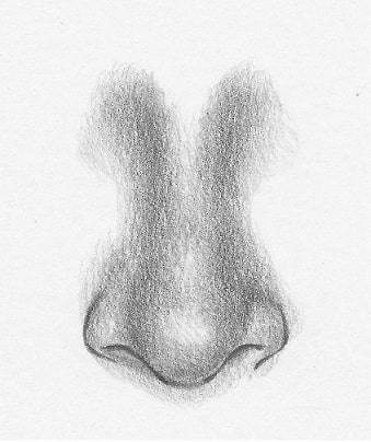how-to-draw-noses-front-view-6 Detailed pencil drawing of a human nose, showcasing shading techniques for realism on a white background. | Sky Rye Design Detailed pencil drawing of a human nose, showcasing shading techniques for realism on a white background. Draw Noses