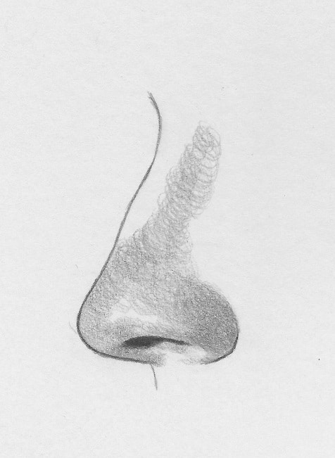 how-to-draw-the-nose-profile-6 Pencil sketch of a human nose with detailed texture and shading, showcasing artistic drawing skills on a plain white background. | Sky Rye Design Pencil sketch of a human nose with detailed texture and shading, showcasing artistic drawing skills on a plain white background.