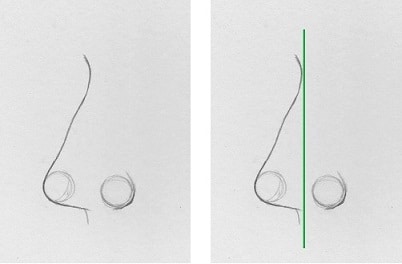 how-to-draw-the-nose-profile-ii2 Side-by-side sketch of a nose profile. Left shows original, right adds a vertical green line parallel to the nose for alignment analysis. | Sky Rye Design Side-by-side sketch of a nose profile. Left shows original, right adds a vertical green line parallel to the nose for alignment analysis.