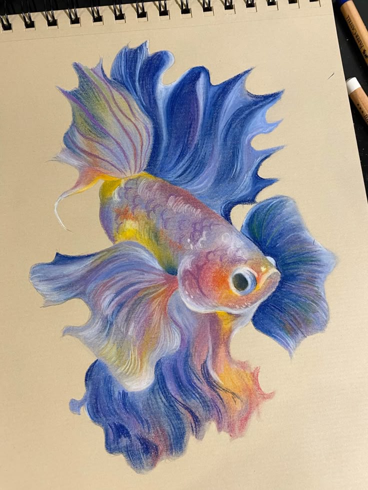 pastel pencils fish Colorful drawing of a vibrant betta fish with flowing fins against a beige background, showcasing detailed artistic techniques. | Sky Rye Design Colorful drawing of a vibrant betta fish with flowing fins against a beige background, showcasing detailed artistic techniques.