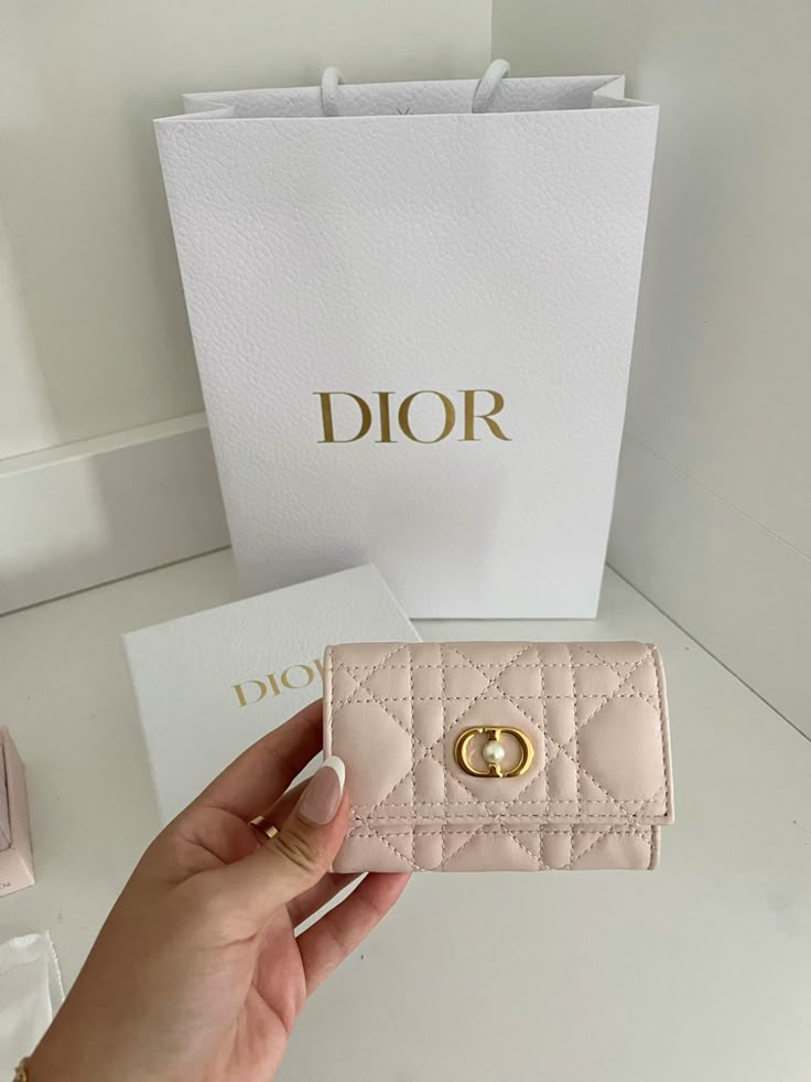 Luxury Dior wallet in soft pink leather held in hand, with a white Dior shopping bag in the background.