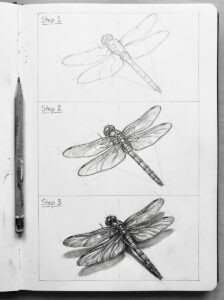 Learn How to Draw Insects: Fun & Simple Steps