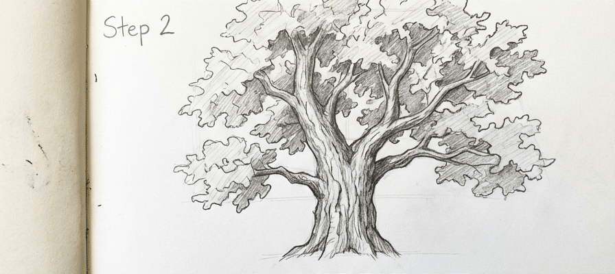 tutorial-step-2 14 Pencil sketch of a tree with detailed branches and leaves, labeled Step 2, illustrating a drawing guide process. | Sky Rye Design Pencil sketch of a tree with detailed branches and leaves, labeled Step 2, illustrating a drawing guide process.